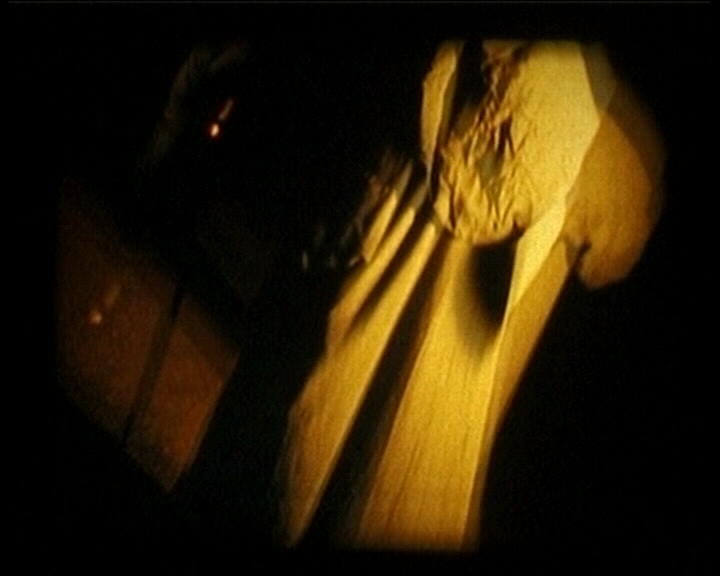 The Magical Technology of&nbsp;Fotamecus