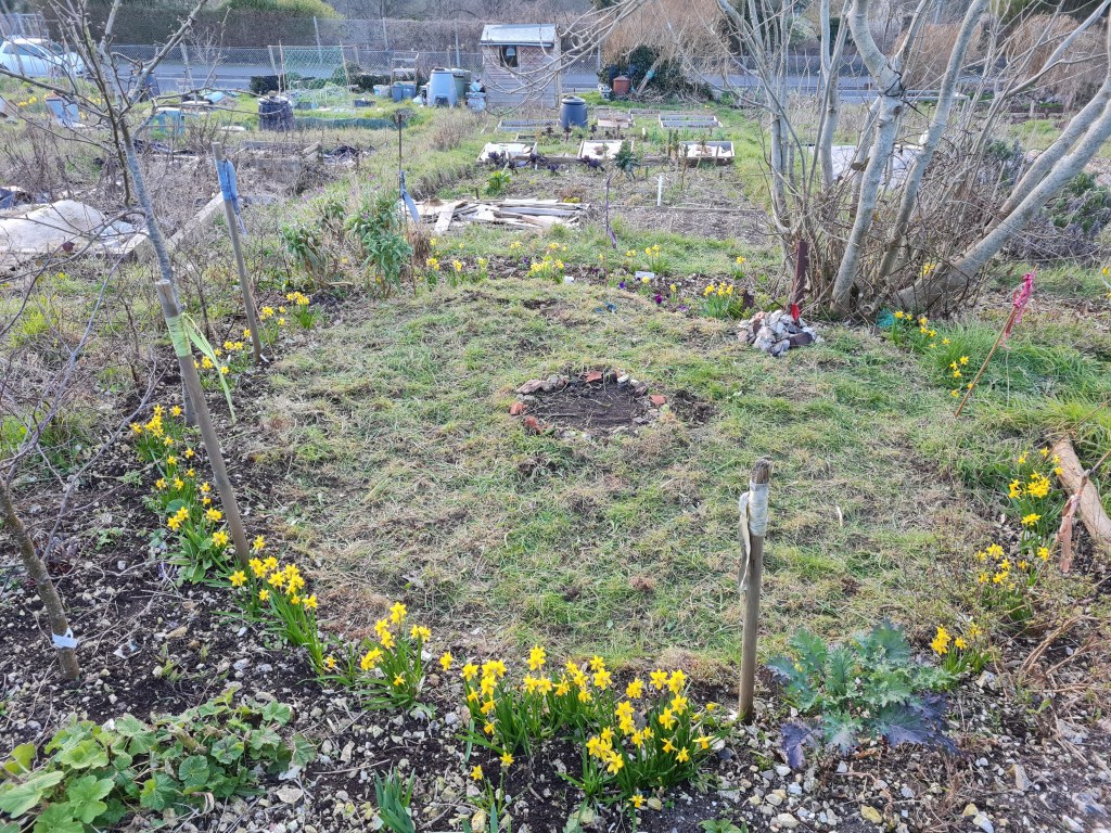 The Bornless Rite&nbsp;(IOT)