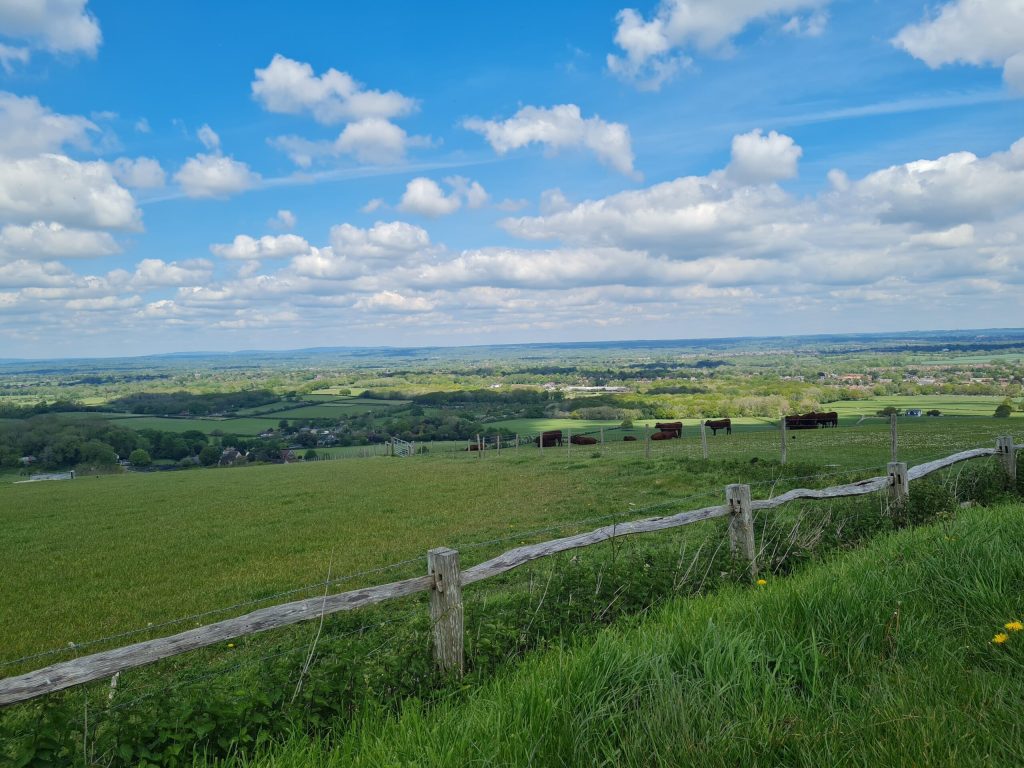 The Freudian Spaceship – Session 6&nbsp;Dreamspace