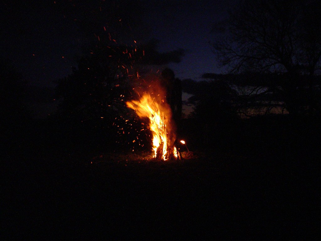 Learning necessities