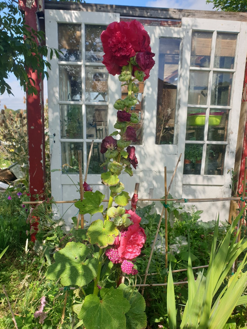 Notes for Eric&nbsp;#5