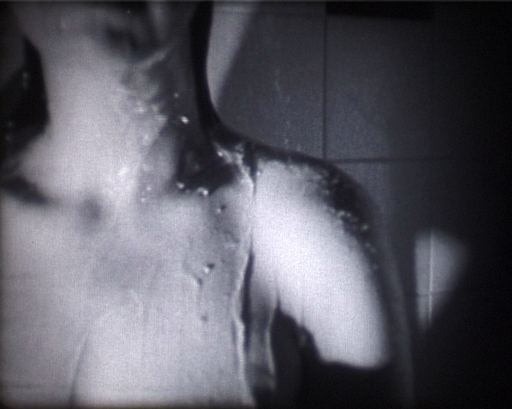 Monadic soap bubbles and&nbsp;Umwelts